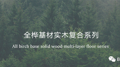 格朴地板 | 进口俄罗斯全桦基材地板，产品解读